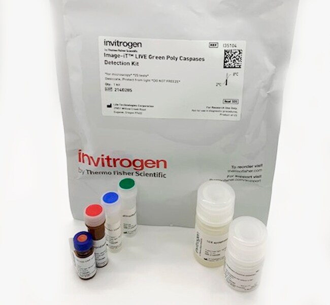 适用于进行显微镜检查的 Image-iT&trade; LIVE 红色和绿色半胱天冬酶细胞凋亡检测试剂盒