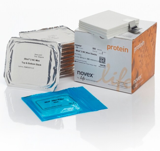 iBlot&trade; 2 Transfer Stacks, nitrocellulose, mini