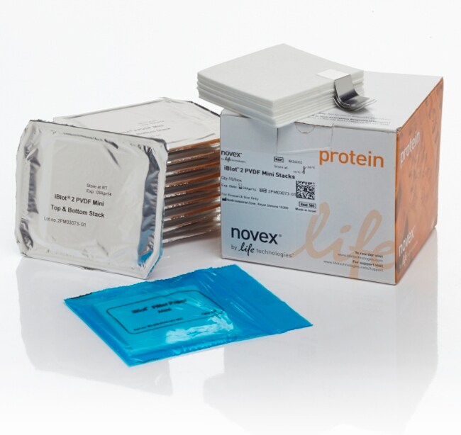 iBlot&trade; 2 Transfer Stacks, PVDF, mini