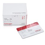 iBlot&trade; 3 中型硝酸纤维素转印膜组