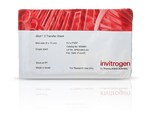 iBlot&trade; 3 中型 PVDF 转印膜组