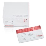 iBlot&trade; 3 中型 PVDF 转印膜组