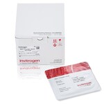 iBlot&trade; 3 Transfer Stacks, mini, PVDF