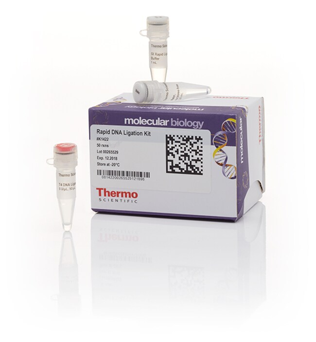 快速 DNA 连接试剂盒