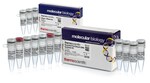 RevertAid&trade; First Strand cDNA Synthesis Kit, with DNase I
