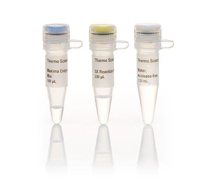 Maxima First Strand cDNA Synthesis Kit for RT-qPCR