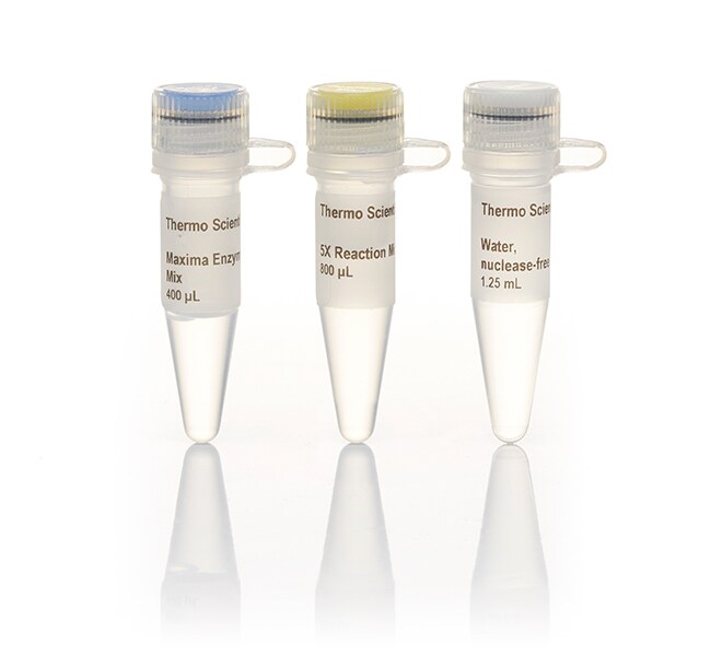 Maxima First Strand cDNA Synthesis Kit for RTqPCR