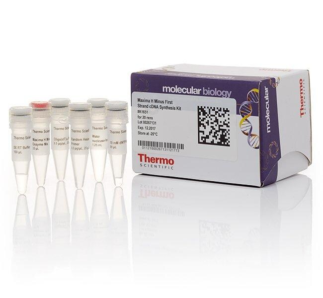 Maxima H Minus First Strand cDNA Synthesis Kit