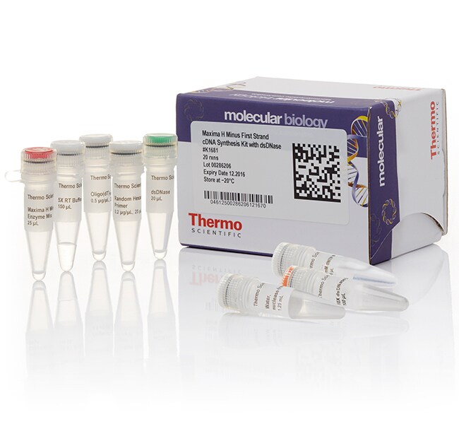 Maxima H Minus First Strand cDNA Synthesis Kit