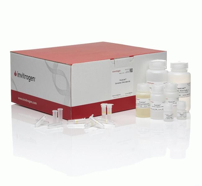 PureLink&trade; 基因组 DNA 小提试剂盒
