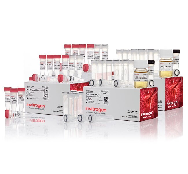 TA 克隆&trade;试剂盒，含 pCR&trade;2.1 载体和 One Shot&trade; INV&alpha;F' 化学感受态<i>大肠杆菌</i>