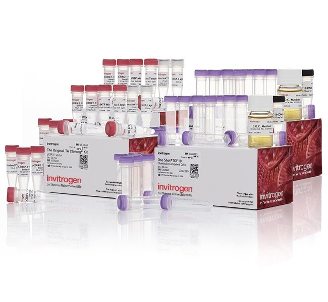 TA Cloning&trade; Kit, with pCR&trade;2.1 Vector and One Shot&trade; TOP10 Chemically Competent <i>E. coli</i>