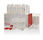 PureLink&trade; HiPure 质粒过滤大提试剂盒