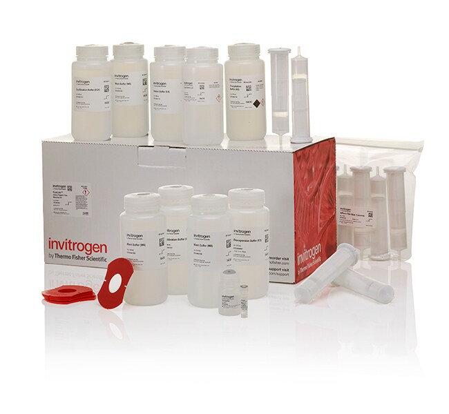 PureLink&trade; HiPure 质粒过滤大提试剂盒