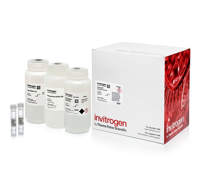 PureLink&trade; HiPure BAC Buffer Kit
