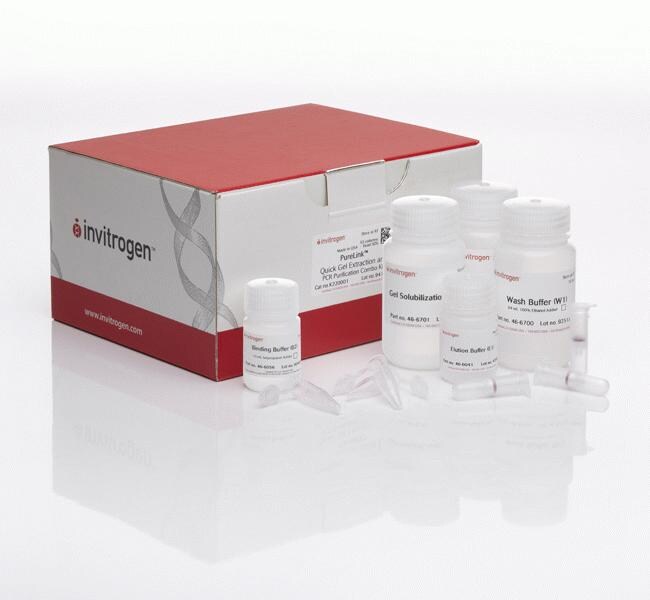PureLink&trade; 快速凝胶提取试剂盒和 PCR 纯化套装试剂盒