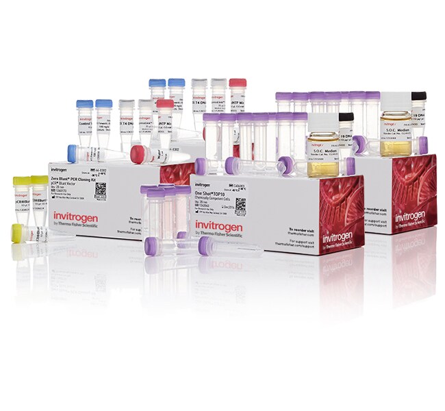Zero Blunt&trade; PCR Cloning Kit