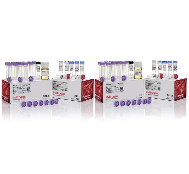 Zero Blunt&trade; TOPO&trade; PCR Cloning Kit, with One Shot&trade; TOP10 Chemically Competent <i>E. coli</i> cells