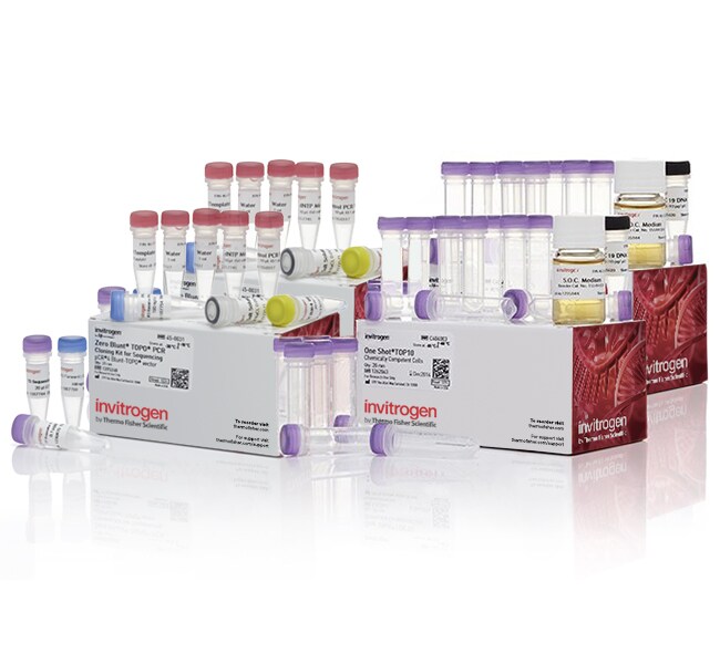 Zero Blunt&trade; TOPO&trade; PCR Cloning Kit for Sequencing, with One Shot&trade; TOP10 Chemically Competent <i>E. coli</i>