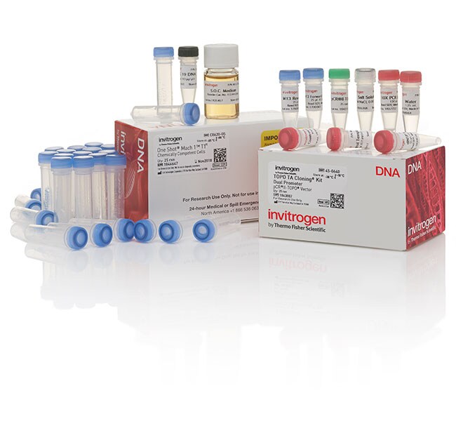 TOPO&trade; TA Cloning&trade; Kit, Dual Promoter, with pCR&trade;II-TOPO&trade; Vector and One Shot&trade; Mach1&trade; T1 Phage-Resistant Chemically Competent <i>E. coli</i>
