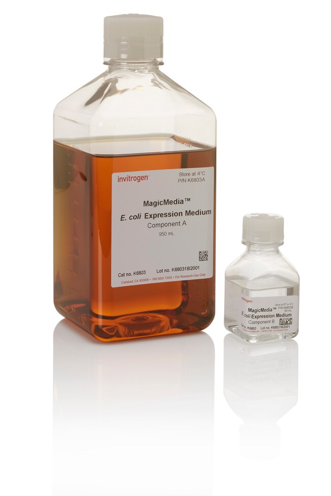 MagicMedia&trade; <i>大肠杆菌</i>表达培养基