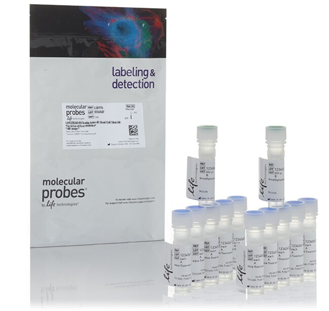 LIVE/DEAD&trade; 可固定近红外死细胞染色剂试剂盒，用于 633 或 635 nm 激发