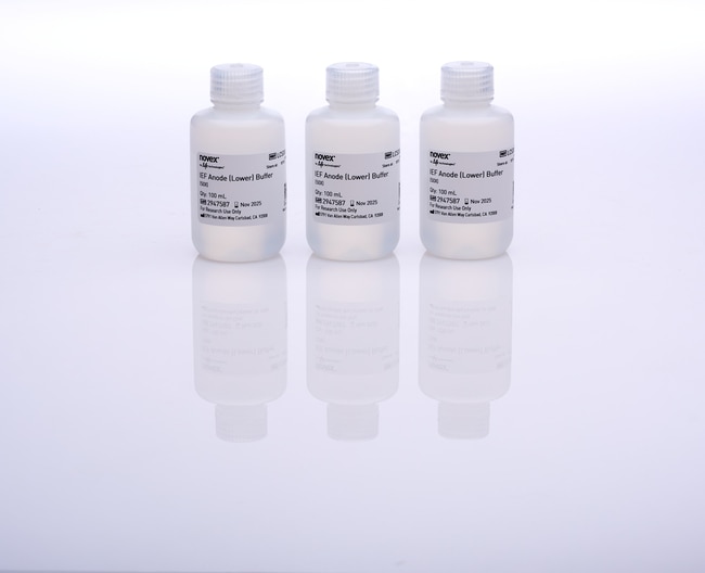 Novex&trade; IEF Anode Buffer (50X)
