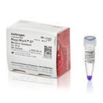 MagicMark&trade; XP Western 蛋白标准品