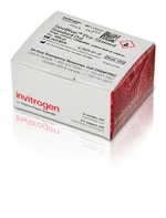 SeeBlue&trade; Pre-stained Protein Standard