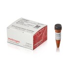 BenchMark&trade; Fluorescent Protein Standard