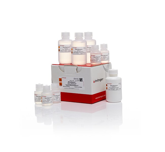 SilverXpress&trade; 银染试剂盒