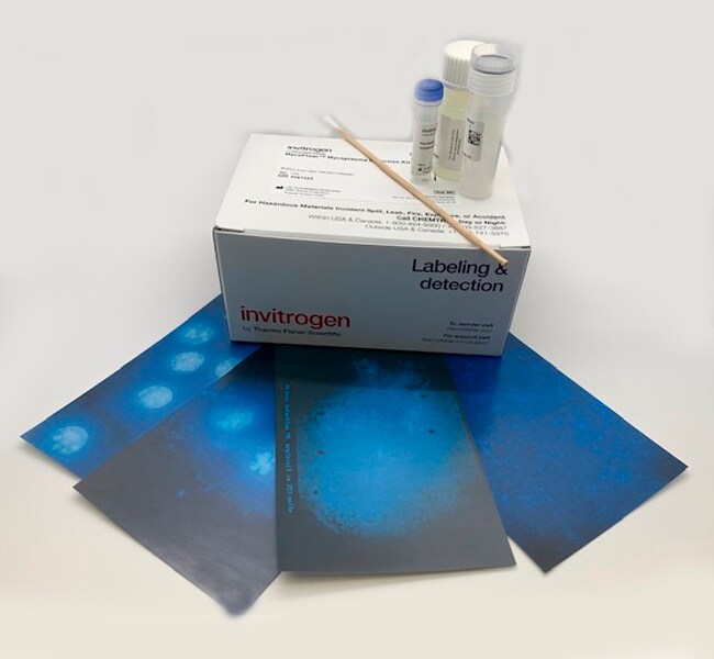 MycoFluor&trade; 支原体检测试剂盒