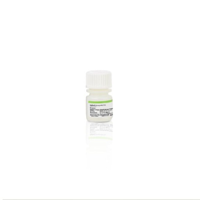 MagMAX&trade; Prime Viral/Pathogen Proteinase K
