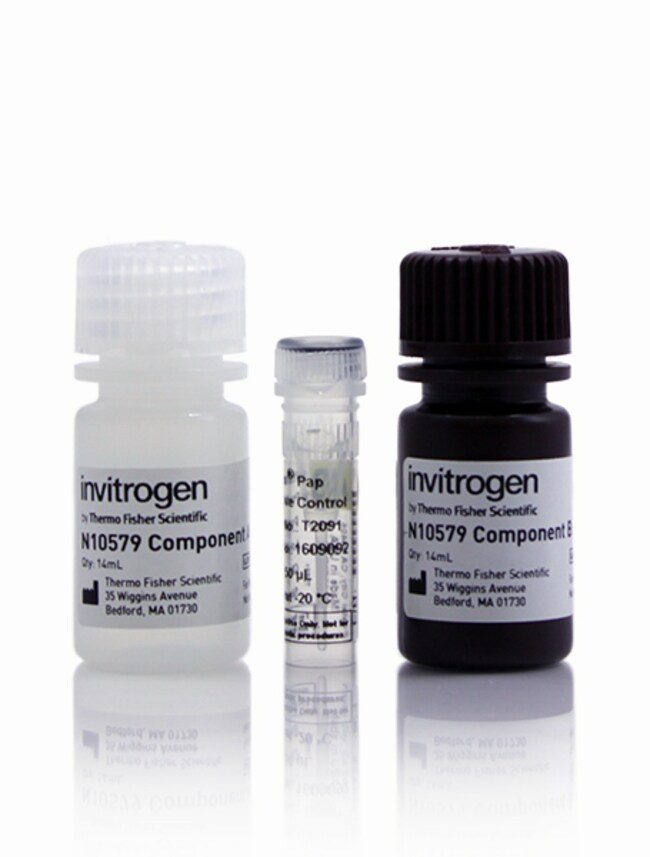 用于 SEAP（分泌型胎盘碱性磷酸酶）报告基因检测的 NovaBright&trade; Phospha-Light&trade; EXP 检测试剂盒