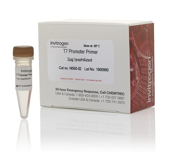 T7 启动子引物