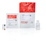 NanoOrange&trade; 蛋白定量试剂盒，200-2,000 次测定