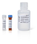 NanoOrange&trade; 蛋白定量试剂盒，200-2,000 次测定