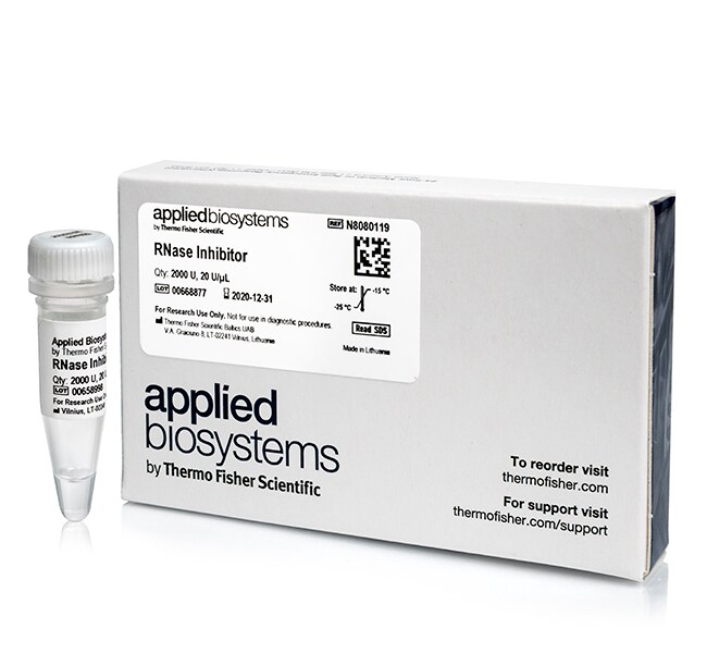 RNase 抑制剂