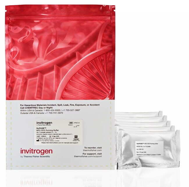 NuPAGE™ MES SDS Running Buffer (Powder)