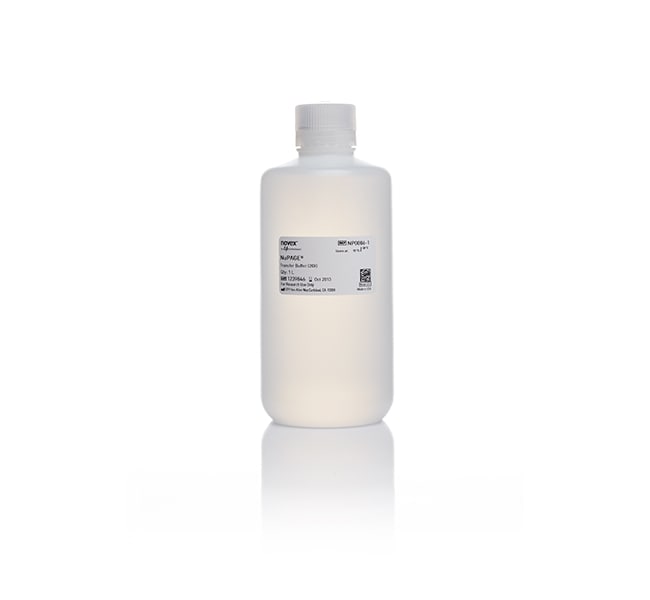 NuPAGE&trade; Transfer Buffer (20X)