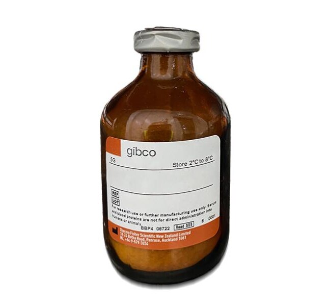 AlbuMax II Lipid Rich BSA