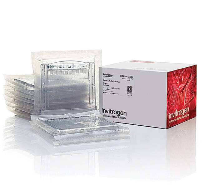 NuPAGE&trade; 3-8%，Tris-乙酸，1.0&ndash;1.5 mm，小型蛋白凝胶