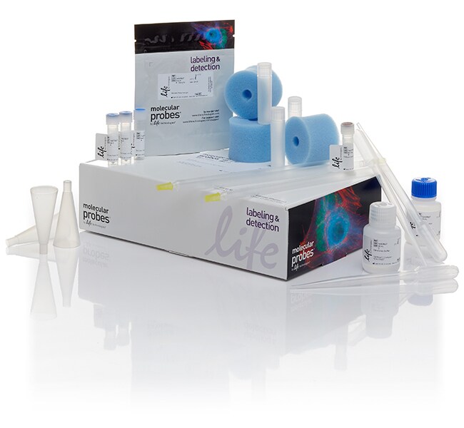 Pacific Orange™ and Pacific Blue™ Antibody Labeling Kits