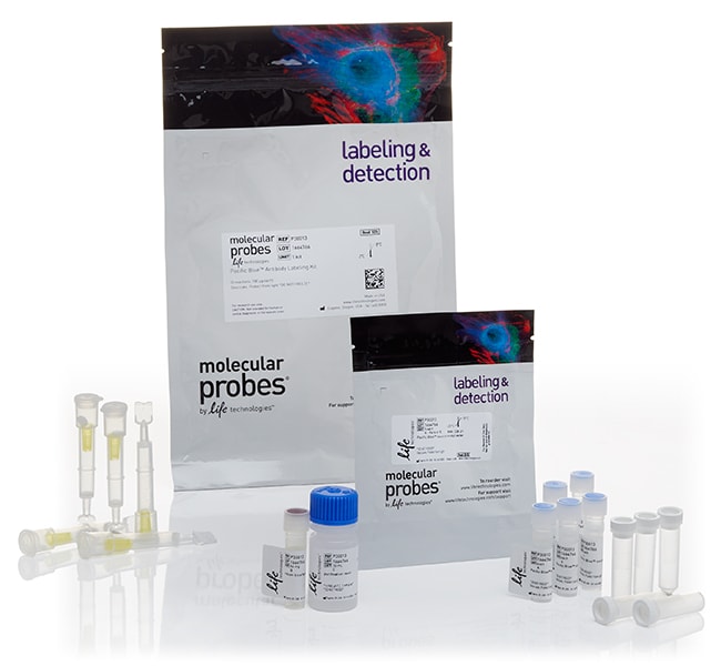 Alexa Fluor&trade; Antibody Labeling Kits