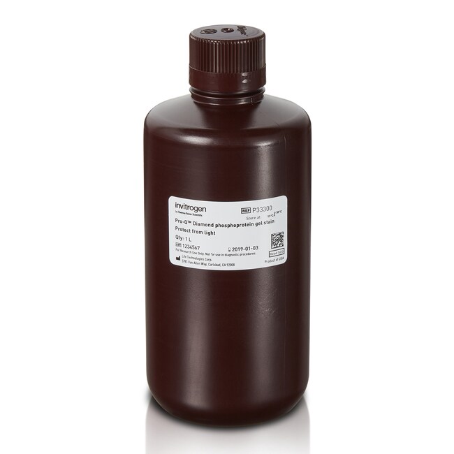 Pro-Q&trade; Diamond 磷蛋白凝胶染色剂