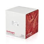 Pro-Q&trade; Diamond Phosphoprotein Gel Stain