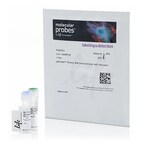 pHrodo&trade; Red and Green AM Intracellular pH Indicator Dyes