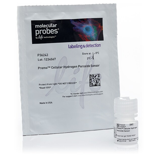 Premo&trade; 细胞过氧化氢传感器