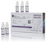 ProLong&trade; Diamond 抗淬灭封片剂（含 DAPI）