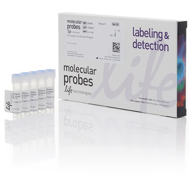ProLong&trade; Live 抗淬灭试剂，用于活细胞成像